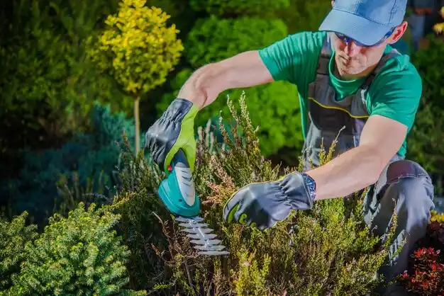 landscaping services Crete